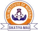 Sai Institute of Nursing